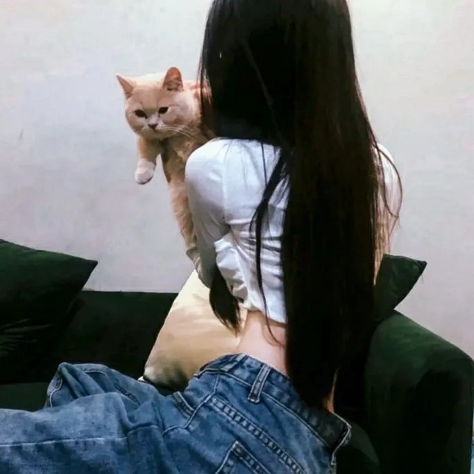 黄色之鸟